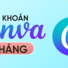 Canva taikhoan 1thang 24931