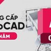 Divine Shop Nang Cap Auto moi 69740