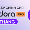 Pacdora Pro 1M 20984
